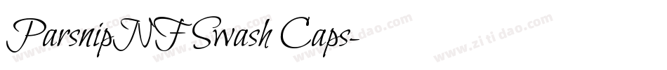 ParsnipNF Swash Caps字体转换